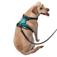 thumbnail image 3 of Lsque Hawaiian Ship Dolphin Dog Harness, No-Pull Pet Harness with 2 Leash Clips, Adjustable Soft Padded Dog Vest with Easy Control Handle for Large Dogs-X-Large, 3 of 9