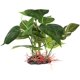 thumbnail image 3 of Aquarium Artificial Plant Plastic Plant - Fish Tank Lifelike Underwater Green Grass Plastic Plant, 10inch, 3 of 5