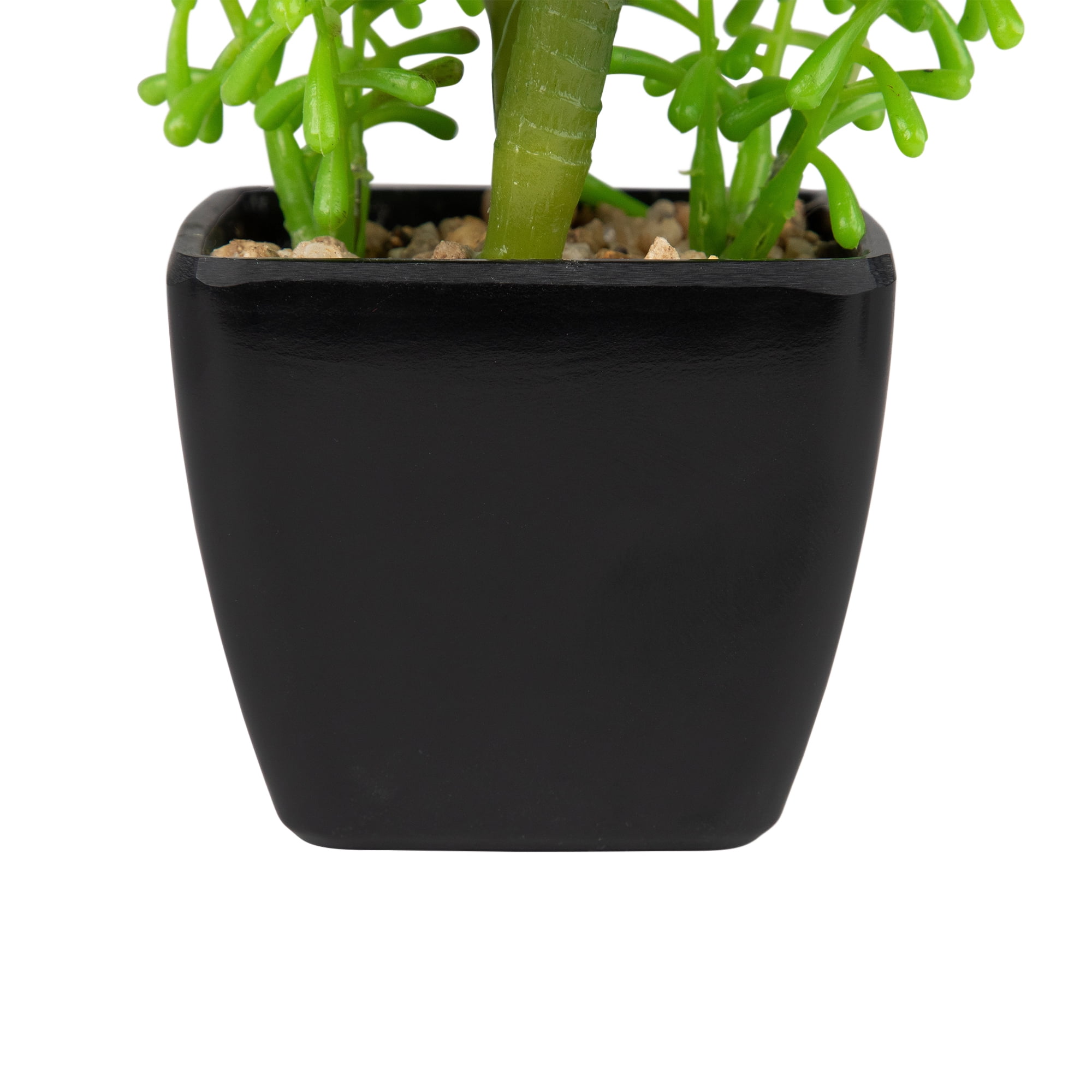 Northlight Potted Artificial Succulent Arrangement - 6"