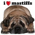thumbnail image 2 of CafePress - I Love Mastiffs Body Suit - Baby Light Bodysuit, Size Newborn - 24 Months, 2 of 4