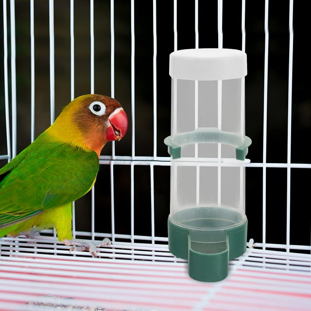 Hytrove 20Ud Alimentador Para Loros Y Con De Y Comida Para Jaulas Interiores