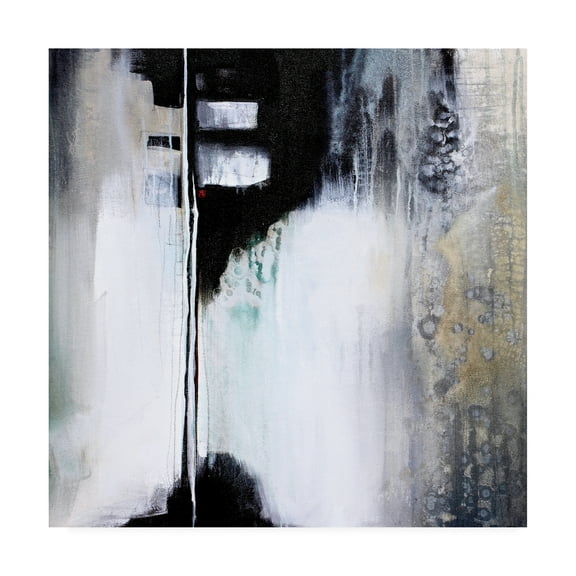Trademark Fine Art 'Black and White Drama' Canvas Art by Karen Hal