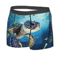 thumbnail image 2 of Fotbe Watercolor Turtle Men’s Total Support Pouch Boxer Briefs, X-Temp Cooling, Moisture-Wicking Underwear, Regular, Long-leg and Trunk-X-Large, 2 of 9