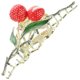 thumbnail image 1 of unbranded Pinzas De Metal Para Con Litchi Multicolor Para Fino Y, 1 of 8