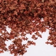 thumbnail image 6 of Colcolo 35ml Realistic Miniature Leaves, Model Scenery Leaf, Simulation Leaves for Fairy Garden, Train, Architecture, DIY Mini Model Brown, 6 of 8