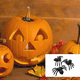 thumbnail image 5 of Juguete de araña de Halloween Naiovety 50/100 Uds plástico luminoso negro Mini araña falsa accesorios engañosos, 5 of 6