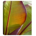 thumbnail image 2 of Masterpiece Art Gallery Fall Leaf Study II, IV by Robin Constable Hanson Floral Canvas Photo Art Print Set of 2 (16" x 20"), 2 of 2