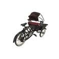 thumbnail image 4 of D-Art Collection Tin Metal and Iron Penang Ricksaw in Copper/Chrome, 4 of 4