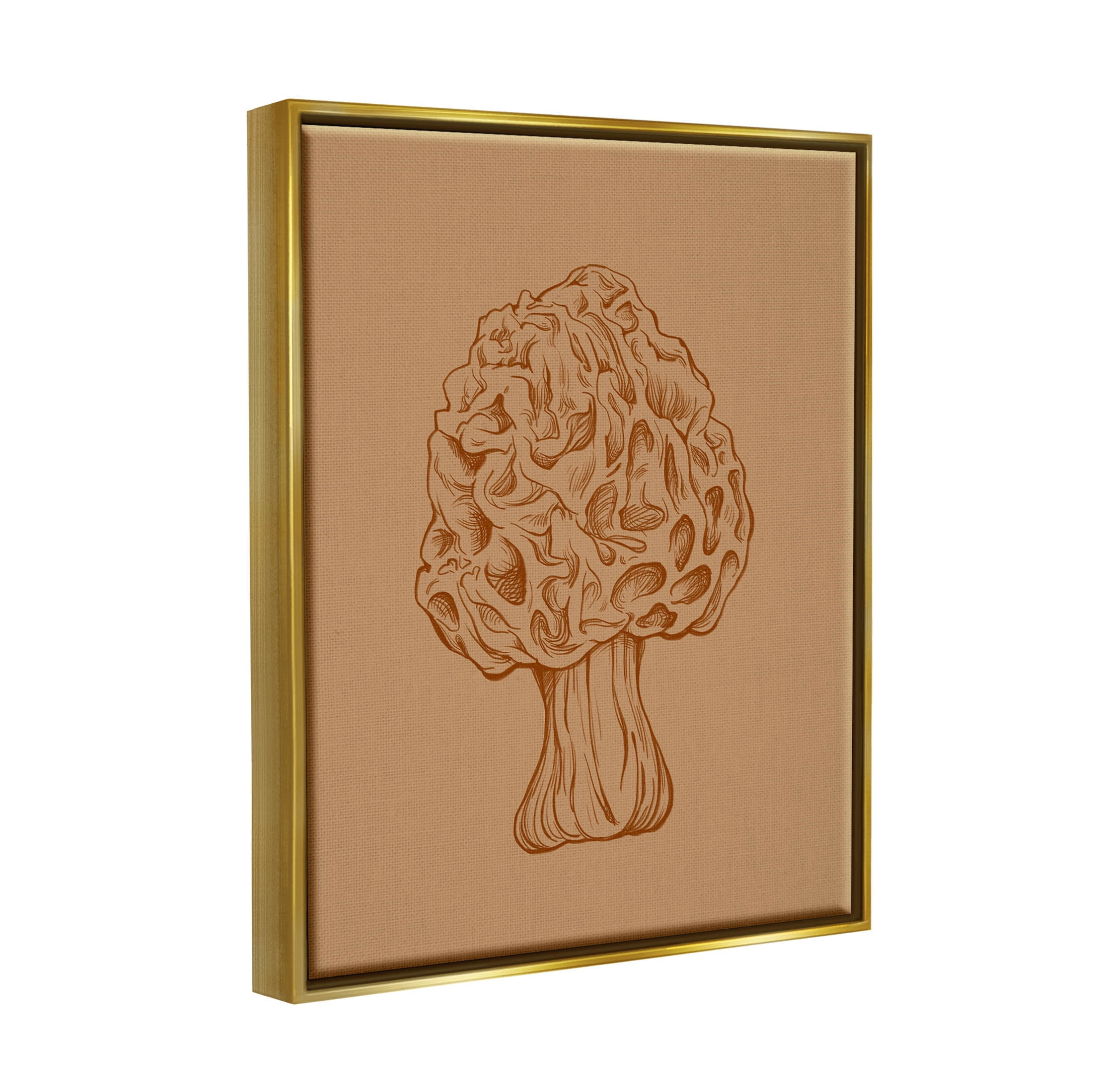 Stupell Industries Organic Mushroom Detailed Study Graphic Art Metallic Gold Floating Framed Canvas Print Wall Art, Design by Ziwei Li