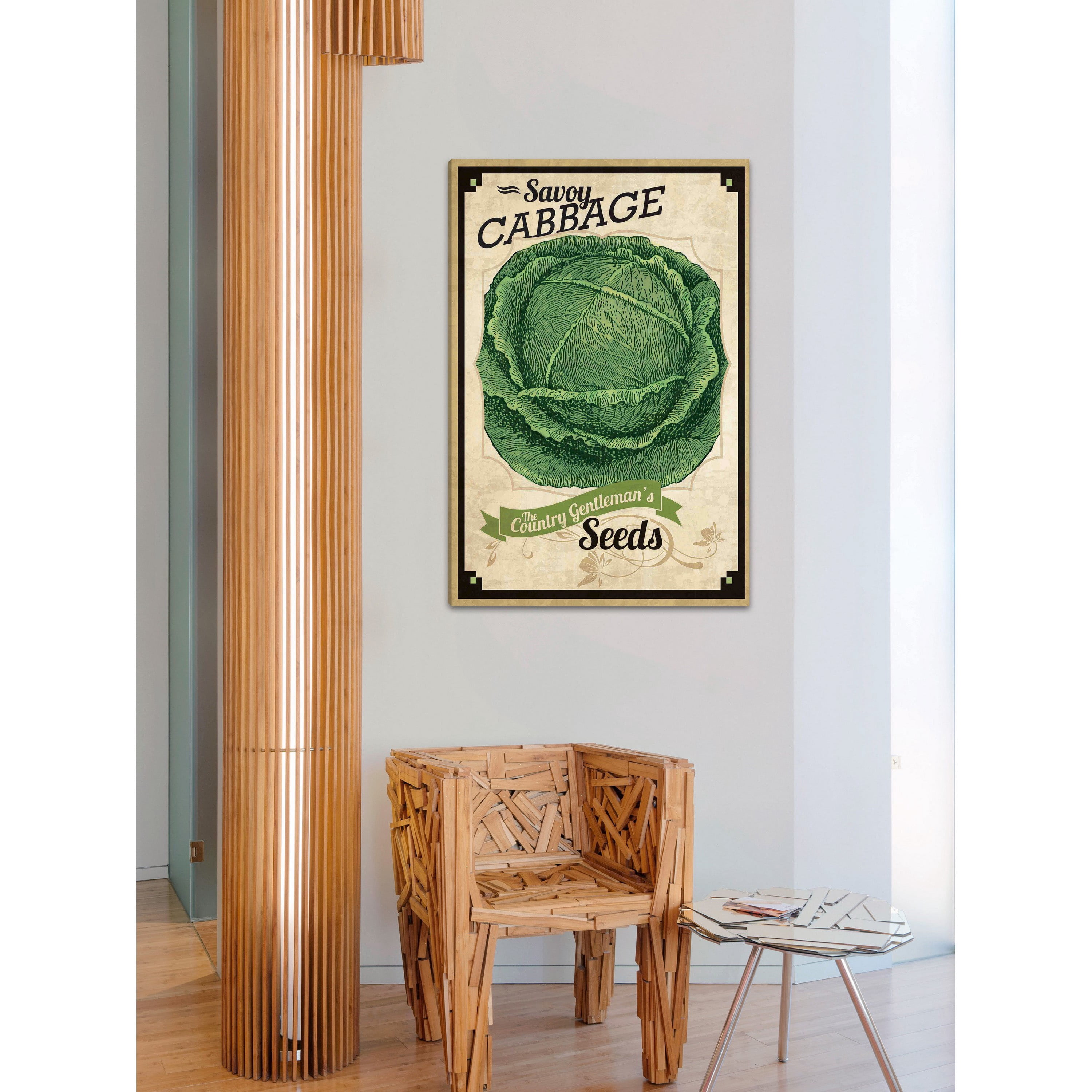 Marmont Hill "Seed Packet Cabbage" Painting Print on Canvas