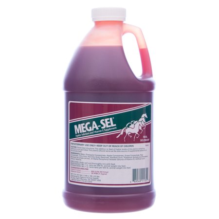 Mega-Sel The Sore Muscle Solution for horses, 64 (Best Solution For Sore Muscles)