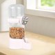 thumbnail image 4 of Bebida Contenedor Alimentos Semillas Pet Bird Automático Dispensador Pájaro () Blanco, 4 of 7
