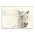 thumbnail image 2 of Stupell IndustriesWhite Horse Running in the WindWall Plaqueby PHBurchett, 2 of 4