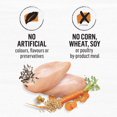 thumbnail image 4 of Beyond Simply Farm-Raised Chicken & Whole Oat Meal Recipe, Dry Cat Food, 4 of 8