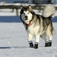 thumbnail image 2 of Pet Artist Waterproof Dog Shoes Large Snow Boots Paw Protector Booties Reflective Non Slip, 2 of 20
