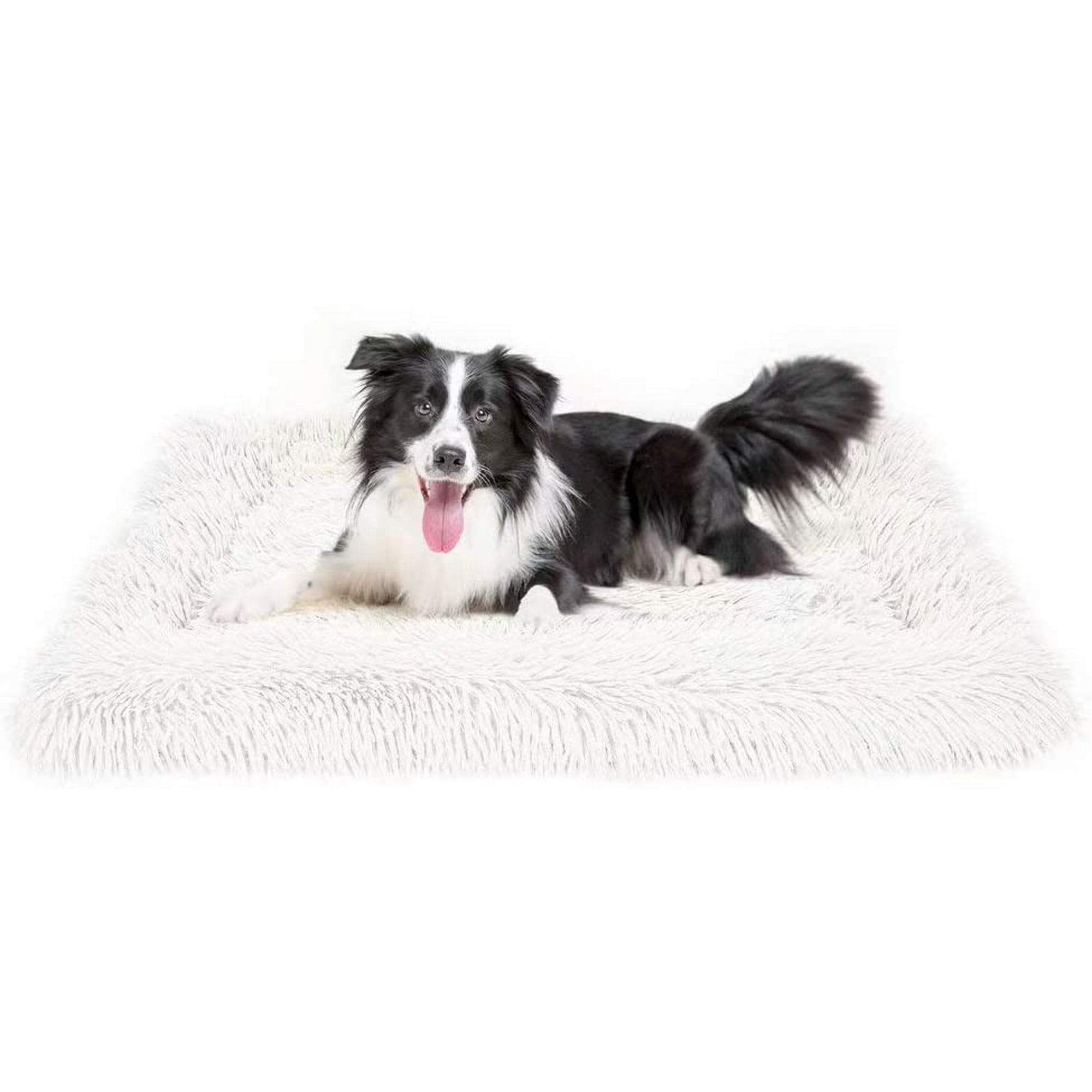 Dog mat cat hotsell