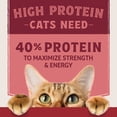 thumbnail image 4 of Ultra Protein - Salmon & Chicken Meal Recipe - Dry Cat Food, 4 of 5