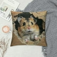 thumbnail image 2 of PRATYUS Hamster Throw Pillow Cover Brown Mouse Pillow Cover 3D Cute Animal Cushion Cover Kawaii Pet Living Room Decorative Pillow Cover for Kids Boys Girls Teens White, 2 of 5