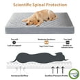 thumbnail image 3 of Cama ortopédica para perros WNPETHOME para perros grandes, impermeable, XL, 3 of 6