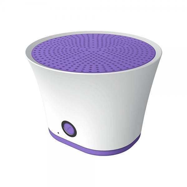 polaroid wifi speaker