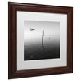 thumbnail image 3 of Trademark Fine Art "Fly" Canvas Art by Moises Levy White Matte, Wood Frame, 3 of 5