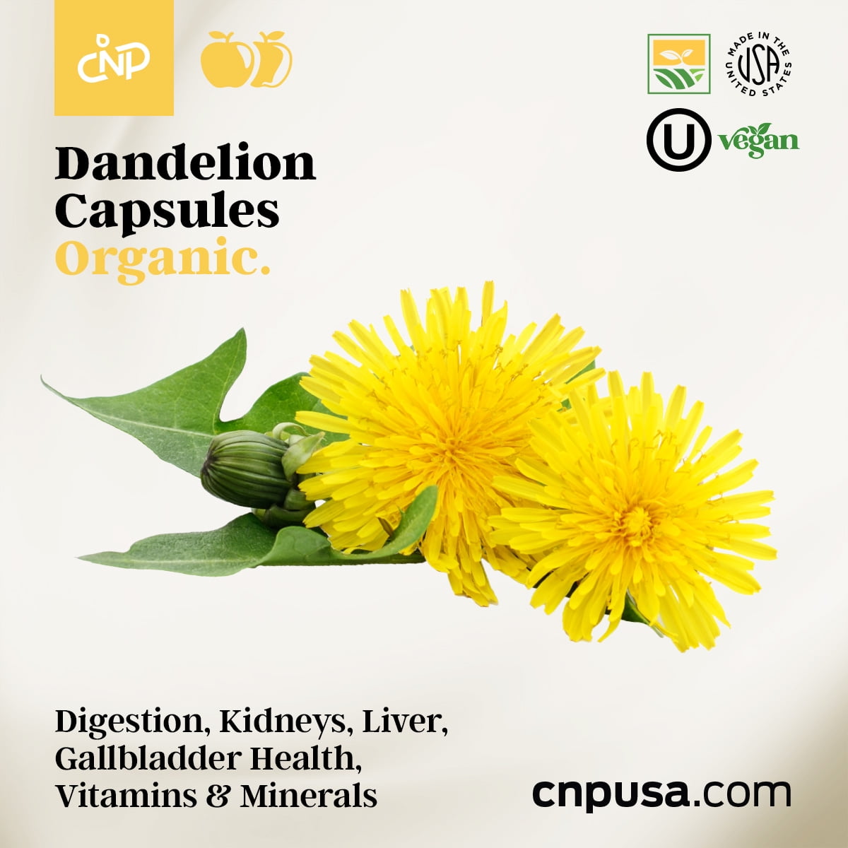 Buy Organic Dandelion Root Capsules 600mg Capsules 100 Pills Pure