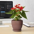 thumbnail image 5 of Wliror 6 Inch Rust Red Ceramic Plant Pot with Drainage – Terracotta‑Like Planter for Indoor Plants, Succulents, Cactus, 5 of 7