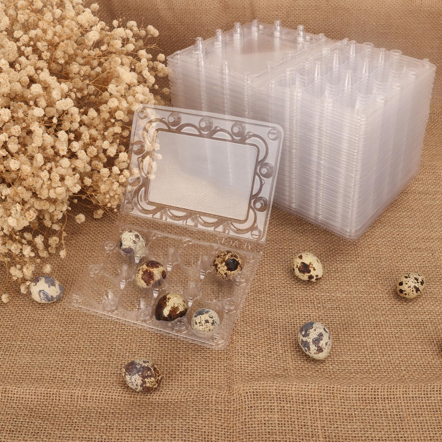 Clear Plastic Quail Egg Trays, Pack of 220 Cartons Holds 12 Eggs Securely for Bulk Storage and Display