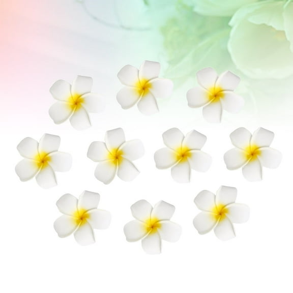 FRCOLOR  10 Pcs Hawaiian Hair Clips Women Daisy Accessories Girls Women's Travel White