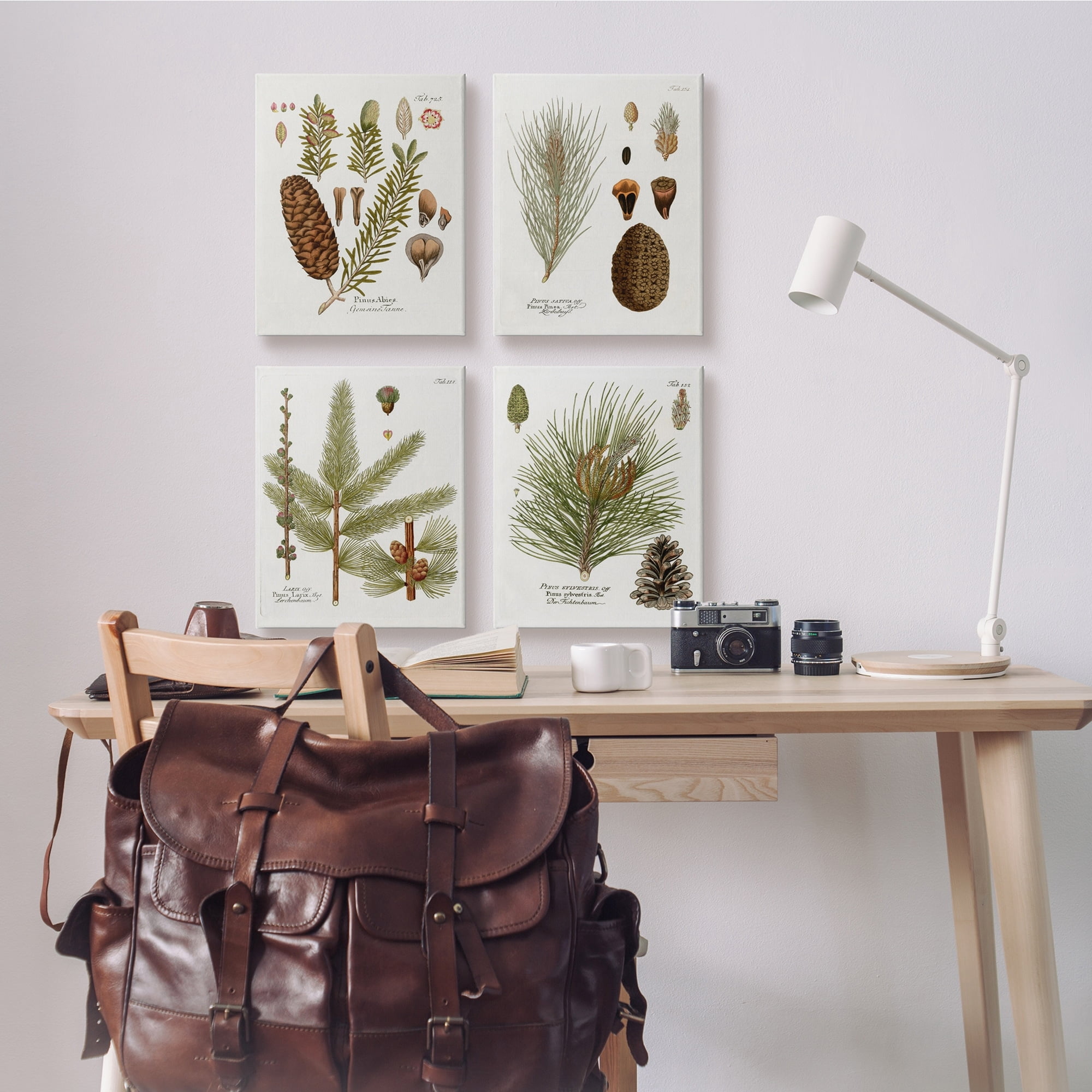 Stupell Industries Vintage Forest Pine Illustrated Study Green Brown Plants, 16 x 20, Design by Kelly Donovan