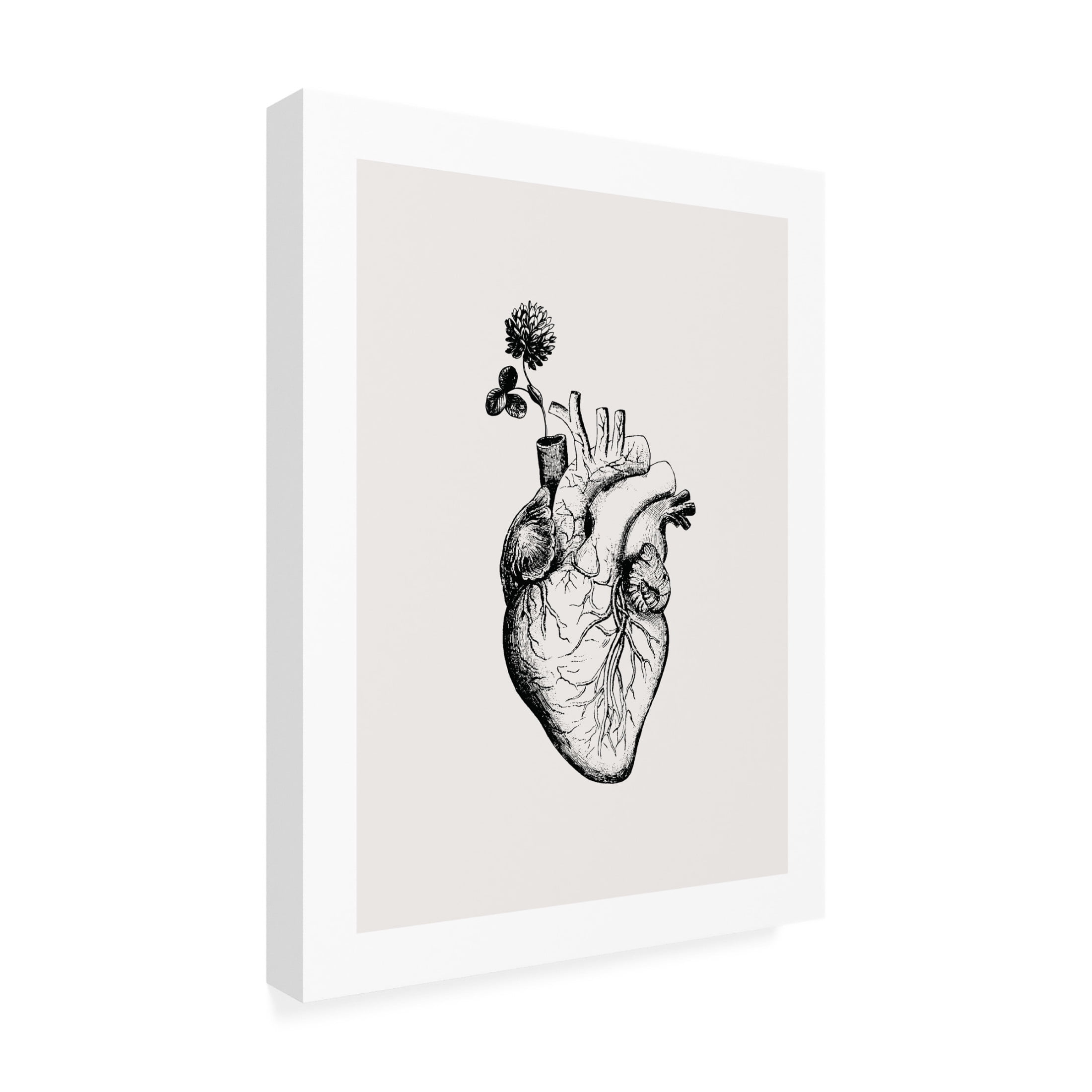 Trademark Fine Art Beth Cai  Heart Bloom Canvas Wall Art