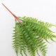 thumbnail image 5 of Decoraciones para peceras, hojas artificiales, flores navideñas, plantas artificiales, helechos, 4 piezas, 5 of 6
