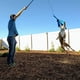 thumbnail image 4 of Polo Brotherhobby, 4 of 7