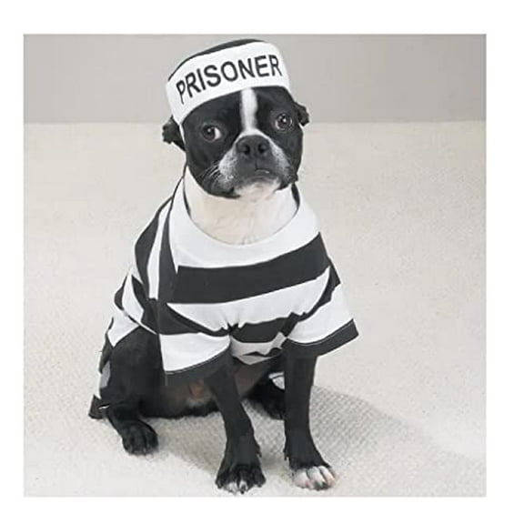 Prison Costume for Dogs Dress Your Pooch as Your Favorite Prisoner Bad Dog! (Small)