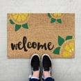 thumbnail image 3 of Dooemats Coir Door Mats Waterproof Floor Mats Spring Summer Door Mat Non Slip Outdoor Rug Patio Stuff for Outside Perfect for Front Door and Entryway Outdoor and Indoor, 16x24 Inch, 3 of 7