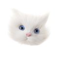 thumbnail image 1 of Ramillete de Cabeza de Gato de Simulación Sintética Figurita de Sunnimix Realistic Simulation Cat Head, 1 of 8