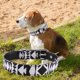 thumbnail image 5 of Collar de entrenamiento para perros con hebilla y correa para perro y gato con estampado suave (negro S), 5 of 5
