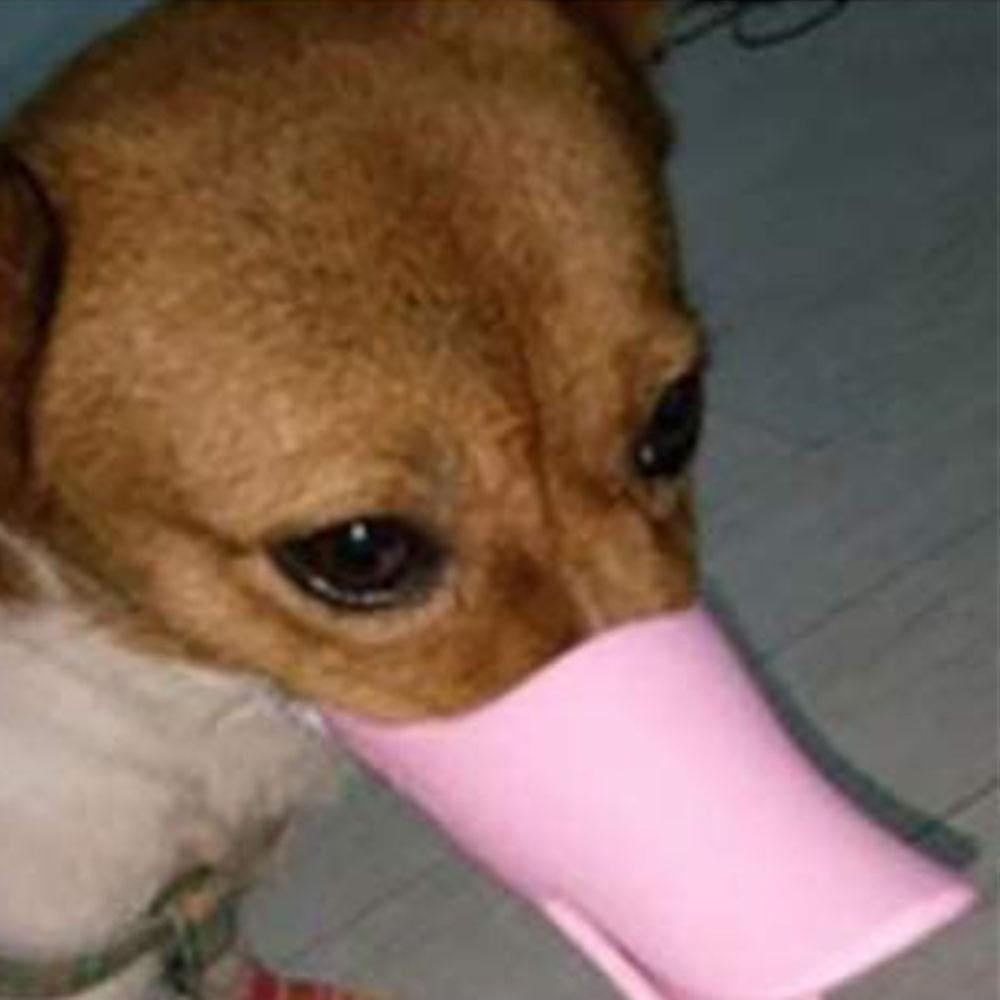 Anti Bite Duck Mouth Shape Dog Mouth Covers Anti called Muzzle Masks Pet Mouth Set Bite proof Pet Dog Mouth Cover Silicone Mask Dog Duck Mouth Cover A Walmart