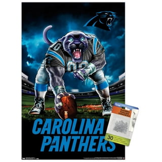 NFL Carolina Panthers - Christian McCaffrey 21 Wall Poster, 14.725 x  22.375 