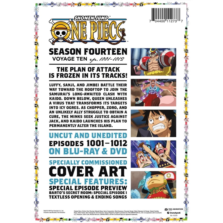 One Piece: Season 14 Voyage 10 - Walmart.com