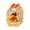 A, variant on 50Pcs Thanksgiving Fall Treat Candy Bags,Reusable Clear Zipper Pouches For Autumn Harvest Party Favors
