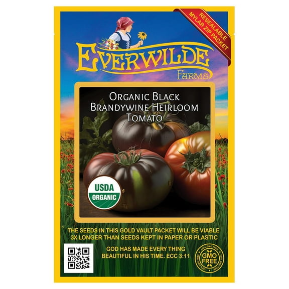 Everwilde Farms - 25 Organic Black Brandywine Heirloom Tomato Seeds - Gold Vault Jumbo Bulk Seed Packet