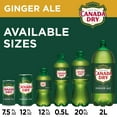 thumbnail image 4 of Canada Dry Ginger Ale, 12 Fl Oz, 12 Count, 4 of 14