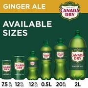Canada Dry Caffeine Free Ginger Ale Soda Pop, 7.5 fl oz, 10 Pack Cans