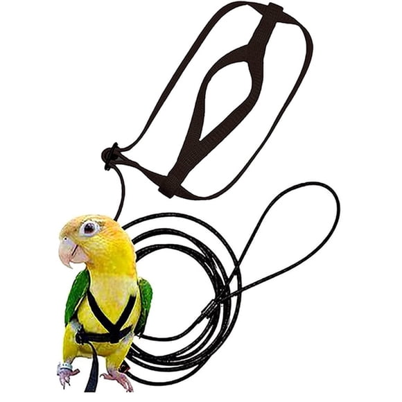 Greeniant Arnés y correa para loros hechos de nailon M, regalo para volar fácilmente, arnés y correa para pájaros y loros para mascotas Aseo de mascotas