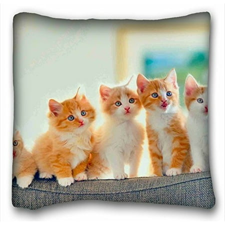 Very Cute Baby Pictures - WinHome Cute Kittens Baby Cats Pillowcase Custom Throw Pillow Cover Zippered Pillow Case Picture Printed Soft Comfortable Size 18x18 Inches Two Side Print