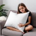 14 x 22 Throw Pillow Inserts, Decorative Rectangle Throw Pillow Inserts