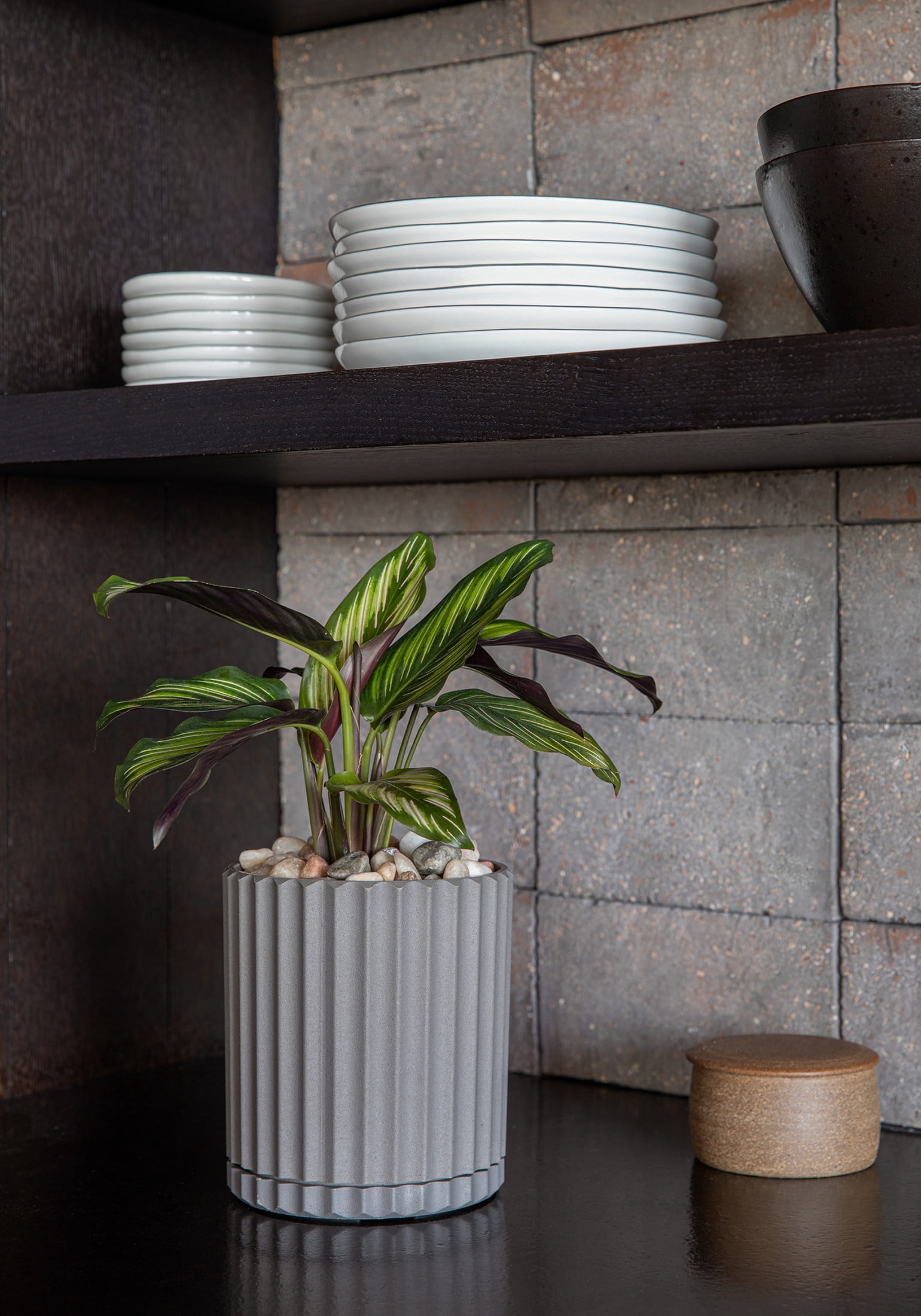 Veradek Mason Series Demi 6" Plastic-Stone Planter - Gray
