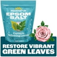 thumbnail image 3 of (2 pack) Pennington Epsom Salt Plant Food Fertilizer, 7 lb., 3 of 13