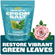 Pennington Epsom Salt Plant Food Fertilizer, 7 lb
